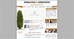 Desktop Screenshot of omolayoleandassociates.org